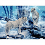 Visas 5D &bdquo;pasidaryk pats&ldquo; deimantinis pie&scaron;imas animacinis filmas &bdquo;Animal Tigras&ldquo; mozaikos siuvinėjimas kryželiu namų dekoras Rankų darbo 25x30cm