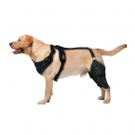 &Scaron;unų kelio įtvarai nugaros kojoms &Scaron;uo klubo kelio kojos įtvarai ACL atrama klubo displazijai gydyti &Scaron;unų artritas &Scaron;viesioji girnelės M