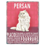 Les Tr&eacute;sors De Lily [Q6487] - Magnet m&eacute;tal 'Chats' rose blanc (Persan) - 9x6. 5 cm