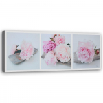 Spaudinys ant drobės Peony Pink Flowers