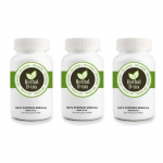 Maisto papildas Herbal D-tox Pueraria Mirifica - 100 kapsulių x 500 mg &ndash; Hormonų reguliatorius, Krūtinė