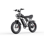 Elektrinis dviratis 1500W 48V/20Ah 90km nuotolis 20 7 pavarų LCD Plieno juodas juoda