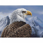 &bdquo;Pasidaryk pats&ldquo; &bdquo;Eagle&ldquo; 5D deimantinis dažymas, pilnas apvalus grąžtas, cirkonio akmenys, pauk&scaron;čių deimantų siuvinėjimas, mozaikos kryžminio dygsnio rinkinys, sienų menas, namų dekoras Full Round 20x30CM
