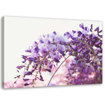Spaudinys ant drobės Glycine Flowers Nature