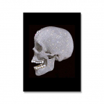 Damieno Hirsto meno plakatas Kaukolės drobės tapyba Sienų paveikslai ir spaudiniai &Scaron;iaurės &scaron;alių modernus namų dekoras Berėmiai paveikslai 21cm&times;30cm NoFrame