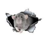 Mielas Dumbo Rat 3D automobilio lipdukas, linksmas vandeniui atsparus lipdukas automobiliams, sunkvežimiams, motociklams, sienoms, langams, PVC medžiagai 15cm-Longest Side