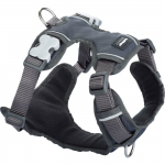 Harnais pour chien - RED DINGO - Sport - Rembourr&eacute; - 4 ajusteurs - Bandes r&eacute;fl&eacute;chissantes