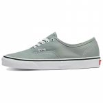 Vans Authentic 'Color Theory Iceberg Green' Vans VN000BW5CJL 44 žalia