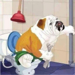 &bdquo;Pasidaryk pats&ldquo; deimantinis dažymas kryželiu &bdquo;Deimantinis 5D Deimantinis siuvinėjimas Bulldog&ldquo; ant tualeto Kalnų kri&scaron;tolinio akmens mozaikos namų dekoras 30X30CM