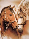 Diamond Art Horse 5D Deimantinė tapyba Mozaika Deimantinė tapyba Visas gręžimas Nauji pristatymai 15*20cm
