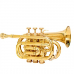 Muzikinis &bdquo;Bb Flat Brass Finish Echo Cornet&ldquo; su nemokamu dėklo dėžutės kandikliu
