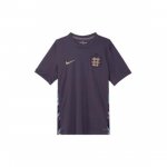 Nike Dri-FIT greitai džiūstantys trumpomis rankovėmis Anglijos futbolo mar&scaron;kinėliai 2024/25 FJ4272-573 EU S