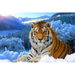 Pilnas 5D &bdquo;pasidaryk pats&ldquo; deimantinis paveikslas &bdquo;Snow Mountain Tiger&ldquo; deimantinis siuvinėjimas Visi&scaron;kai klojamas kryželiu namų dekoras, rankų darbo dovana 20x30cm