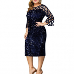 Lady Petticoats Plus Size Blizganti vakarėlio suknelė, puo&scaron;ta blizgučiais puo&scaron;ta vakarinė suknelė banketui