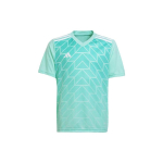 Adidas Team Icon 23 Geometrinio Ra&scaron;to Spaudinys V formos i&scaron;kirptė Trumpomis Rankovėmis Futbolo Mar&scaron;kinėliai Vyri&scaron;ki Vir&scaron;utiniai Drabužiai Žalias IC1252 XXL white