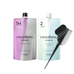 Shiseido Crystallizing Straight H Tiesinimo priemonė sveikiems iki kreminiams plaukams Dažymo &scaron;epetėlis [3 dalių rinkinys] (1-as Mažai Pažeidžiami Plaukai) + (2-asis agentas) +