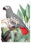 Plakat papuga szara rośliny 21x29,7 cm A4