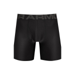 Under Armour Tech Boxeri 6 colių 2 vnt. vyri&scaron;kos kelnaitės Juodos 1363619-001 S