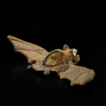 Mieli modeliavimo batų pliu&scaron;iniai lėlės pakabukai lėlės modeliavimo gyvūnai pliu&scaron;iniai žaislai dovanos 1pc