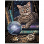 Pilnas 5D &bdquo;pasidaryk pats&ldquo; deimantinis paveikslas &bdquo;Magic Cat&ldquo; deimantinis siuvinėjimas &bdquo;Anime&ldquo; kryžminio dygsnio rinkiniai namų dekoras, rankų darbo dovana 20x30cm