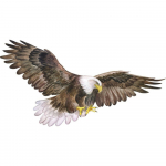 Viniliniai &bdquo;bald Eagle&ldquo; sienų lipdukai, nuimami ir klijuojami pauk&scaron;čių gyvūnų sienų lipdukai, svetainė