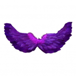 Angelo plunksnų sparnai su elastiniais dirželiais Ry&scaron;kios spalvos lengvi kostiumai Cosplay Wings fotografijos rekvizitai