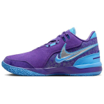 Nike Zoom LeBron NXXT Gen AMPD Summit Lake Hornets Unisex Batai Violetinė Laukas-Violetinė Metalinė-Sidabrinė FJ1566-500 40.5 blue