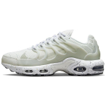 Nike Air Max Terrascape Plus balti grynos platinos vyri&scaron;ki sportbačiai DQ3977-100 EU 40.5 balta/platina