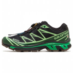 SALOMON XT 6 Gtx 'Black Eden Green Ash' sportbačiai 472921 38⅔ žalia