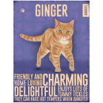 Les Tr&eacute;sors De Lily [R1129] - Magnet m&eacute;tal 'Chats' violet orange (Chat Roux - Ginger) - 9x6. 5 cm