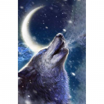 Pasidaryk pats Vilkas 5D Deimantinė tapyba Pilnas apvalus gręžimas Derva Animacinis gyvūnas Deimantinė siuvinėjimo kryželiu rinkinys Namų dekoras Sienų menas Dovana Full Round 20x30CM