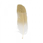 6 plumes dor&eacute;es &agrave; paillettes