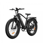 Bodywel D6 Elektrinis kalnų dviratis su 250W varikliu ir 48V13.5AH baterija juoda