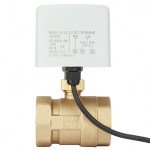 AC220V DN40 1 1 2 2 krypčių 3 laidų žalvarinis elektrinis motorizuotas rutulinis vožtuvas juoda