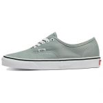 VANS Authentic Spalvų teorija - Ledkalnio žalia - VN000BW5CJL EU 35