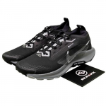 Nike Pegasus Trail 5 GORE-TEX Juoda Vilko Pilka - FQ0908-001 EU 40