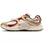 Nike V5 RNR Pegasus Pack - Žirgo Metų Moteri&scaron;ki Sportbačiai Rudo Mink&scaron;tas-Perlo Metalo-Sidabro IQ1151-001 38
