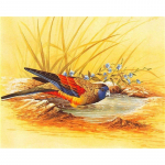 5d pilnas deimantinis paveikslas su pauk&scaron;čiais mozaikiniu deimantiniu siuvinėjimu kūrybingi dovanų sienų paveikslai Full Round 20x30CM