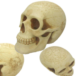 Les Tr&eacute;sors De Lily [A3296] - Figurine r&eacute;sine 'T&ecirc;te de Mort' beige (astrologie) - 16 cm