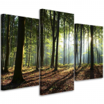 Three piece picture canvas print Forest Landscape Nature