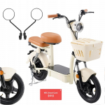 1200W NFC Elektrinė transporto priemonė suaugusiems AgileRide 100KM 20AH 45KM/H 14 PL