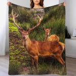 Stumbro ir elnės pledas &Scaron;iltas patogus pledas biuro snaudimui 102x76cm(40x30in) brown
