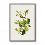 Eleganti&scaron;kas poezijos pauk&scaron;tis ant medžio Modernus paprastas &scaron;iaurieti&scaron;kas A4 drobės tapyba Meno spaudinys Plakatas Sienų tapyba Miegamojo namų dekoravimas 21x30cm No Frame