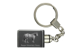 Basque Mountain Horse - Crystal pendant with photo of a horse, illuminated pendant, unique gift by Art-Dog brand