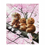 5D &bdquo;pasidaryk pats&ldquo; deimantinis siuvinėjimas Gyvūnų pilnas apvalus deimantinis paveikslas Katės deimantinis mozaikos kryželiu rankų darbo dovana Full Round 20x30CM