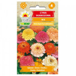 Zinnia scabbiosis mi&scaron;rainė gėlių sėklos sodui