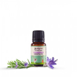 Pilgrim Spanish Rosemary Oil for Hair Growth, Hair Fall Control & Hair Strengthening 10ml | Rosemary oil for hair growth | Strengthens Hair