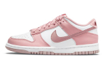 Nike Dunk Low Rožinis Velvelis GS DO6485-600 40
