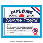 Les Tr&eacute;sors De Lily [Q9502] - Cadre 'Dipl&ocirc;me de l'Homme Parfait' bleu blanc - 25x20x1. 5 cm mėlyna