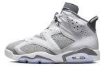 Air Jordan 6 Retro 'Cool Grey' CT8529-100 45 gray
